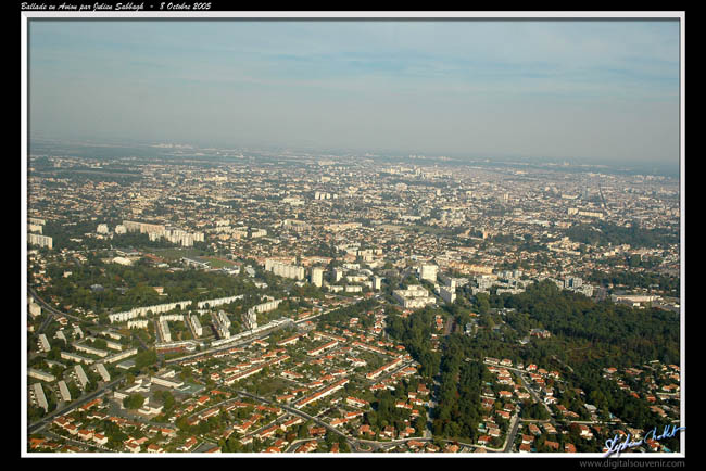 DSC_3096