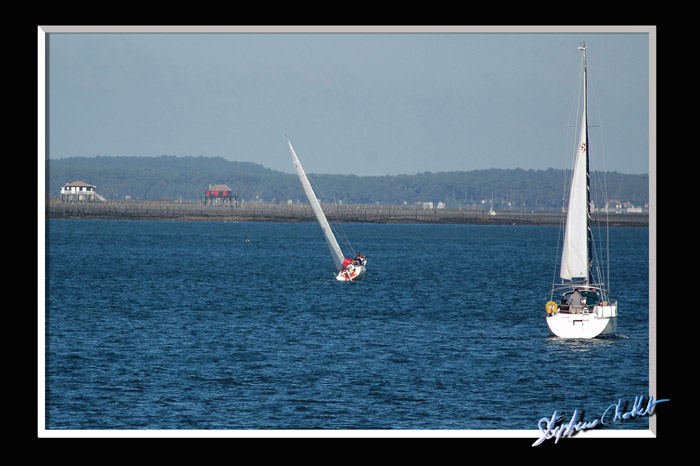 DSC_4704