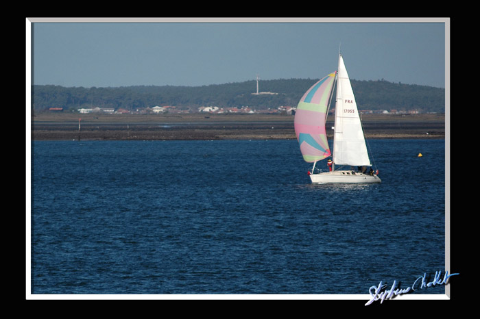 DSC_4708