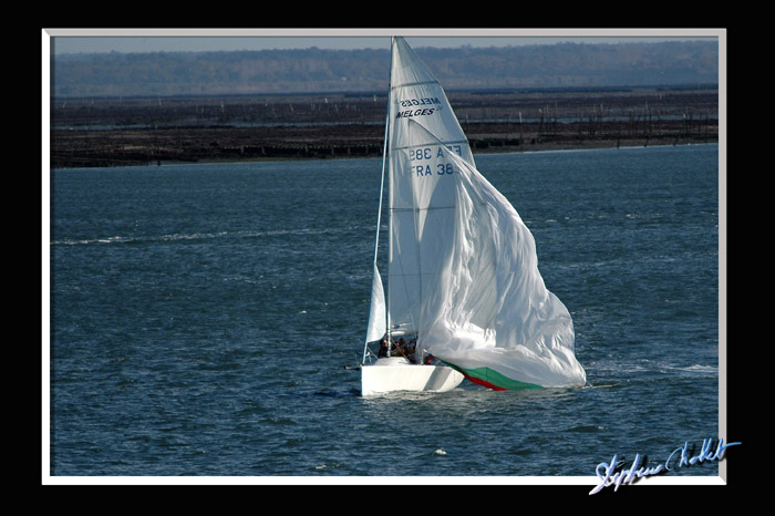 DSC_4763