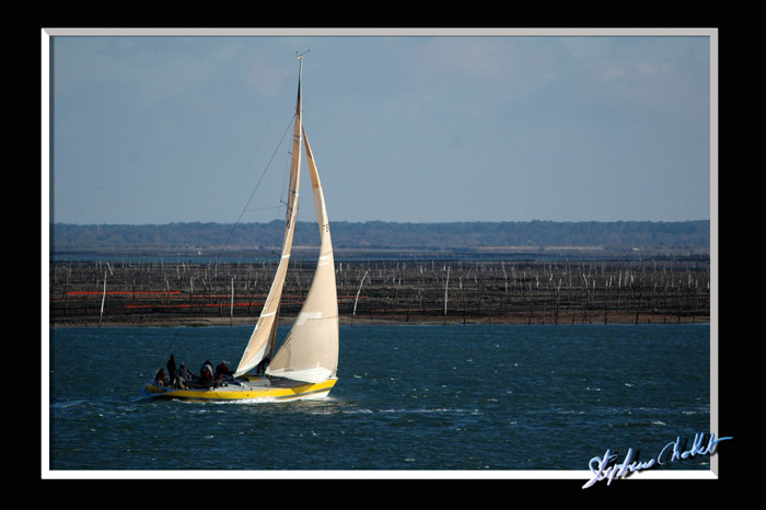 DSC_4769