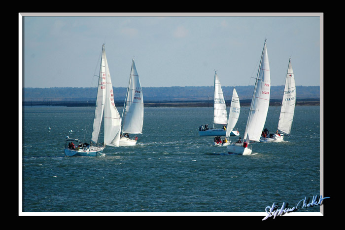 DSC_4773