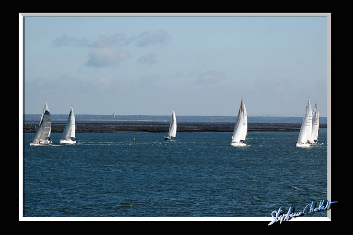 DSC_4810